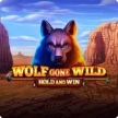 Wolf Gone Wild Hold And Win