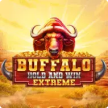Buffalo Hold and Win